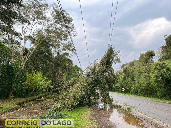 Temporal passa por Santa Helena, derruba galhos sobre rede elétrica, arranca telhados e deixa interior sem energia elétrica