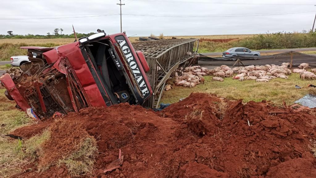 Carreta carregada de suínos tomba e condutor resulta com ferimentos graves na BR 163 em Toledo
