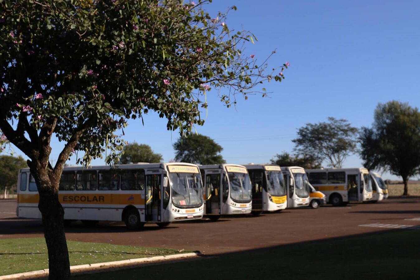 Estudantes devem realizar pré-cadastro para uso do transporte escolar público