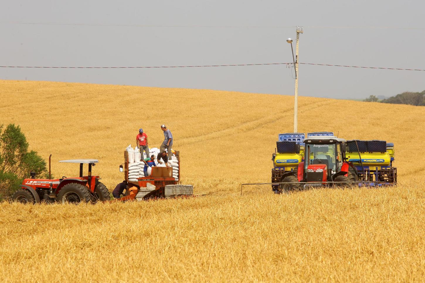 PIB do Paraná cresce mais que o dobro da média nacional nos primeiros trimestres de 2023
