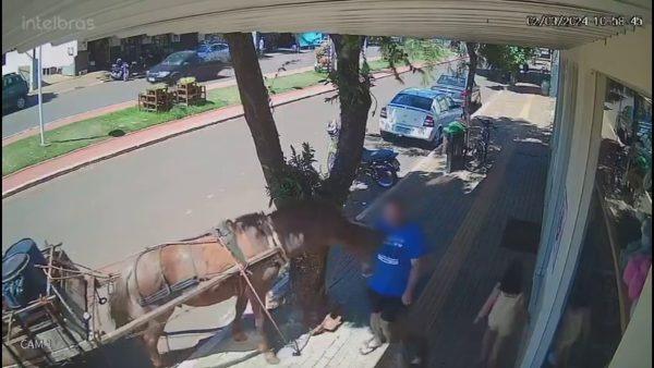 Vereador é mordido por cavalo em calçada no Paraná