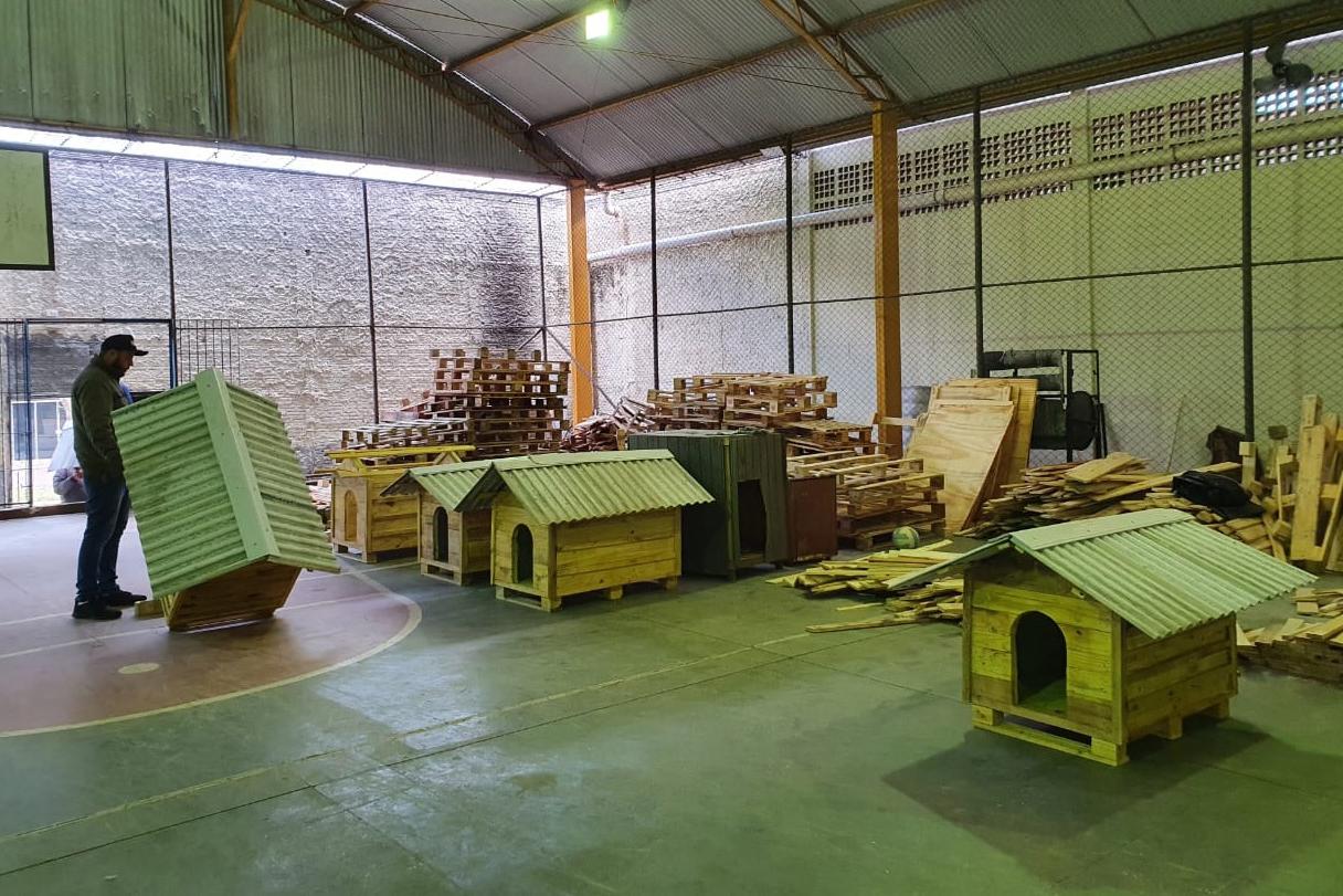 Casinhas feitas em penitenciária do Paraná vão ajudar a abrigar animais resgatados no RS
