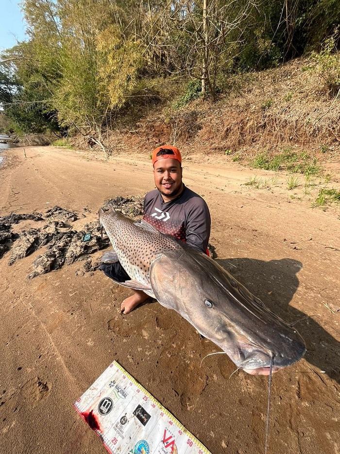 Jovem pesca Pintado de quase dois metros no rio Ivaí, no Paraná: '40 minutos de briga'