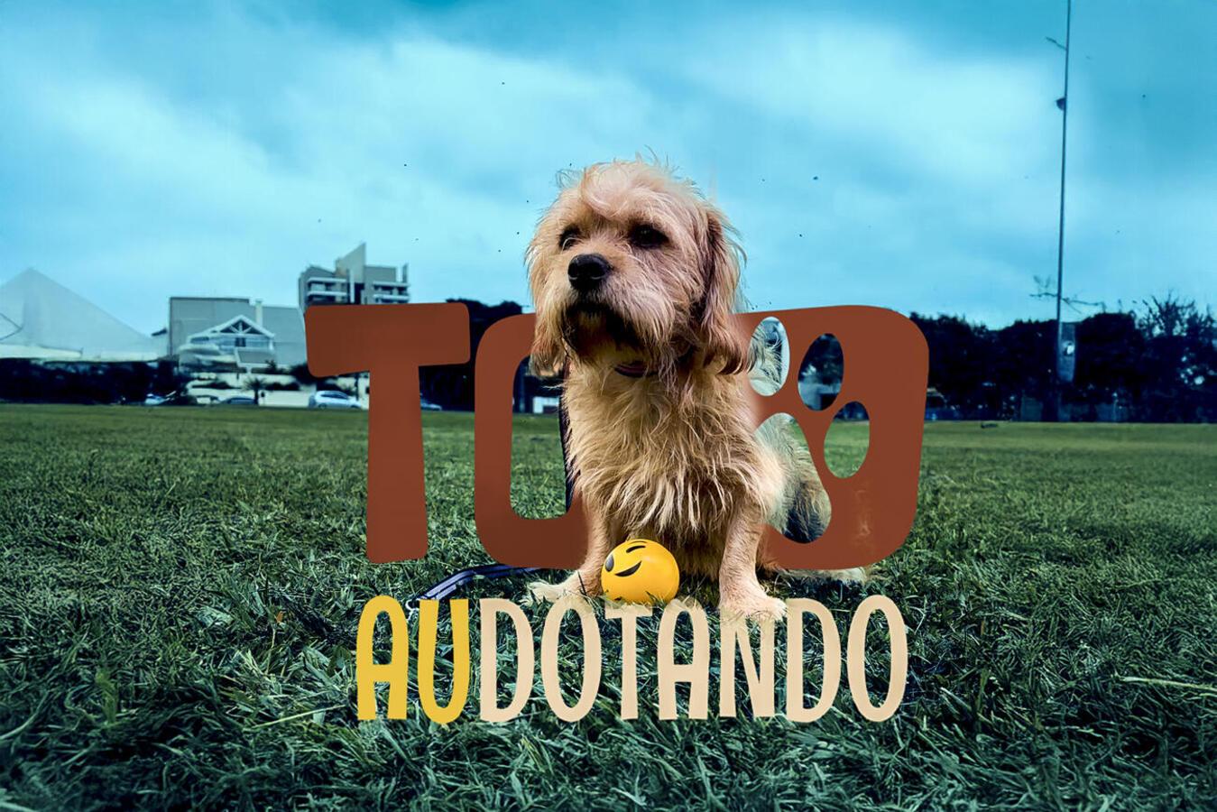 Prefeitura de Toledo realiza evento de adoção de animais neste domingo (4)
