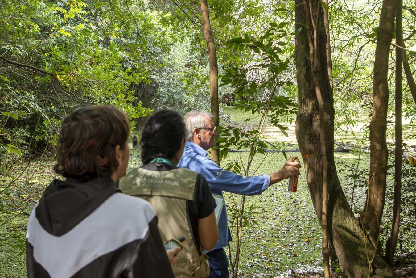 Secretaria do Meio Ambiente identifica árvores invasoras no Horto Municipal