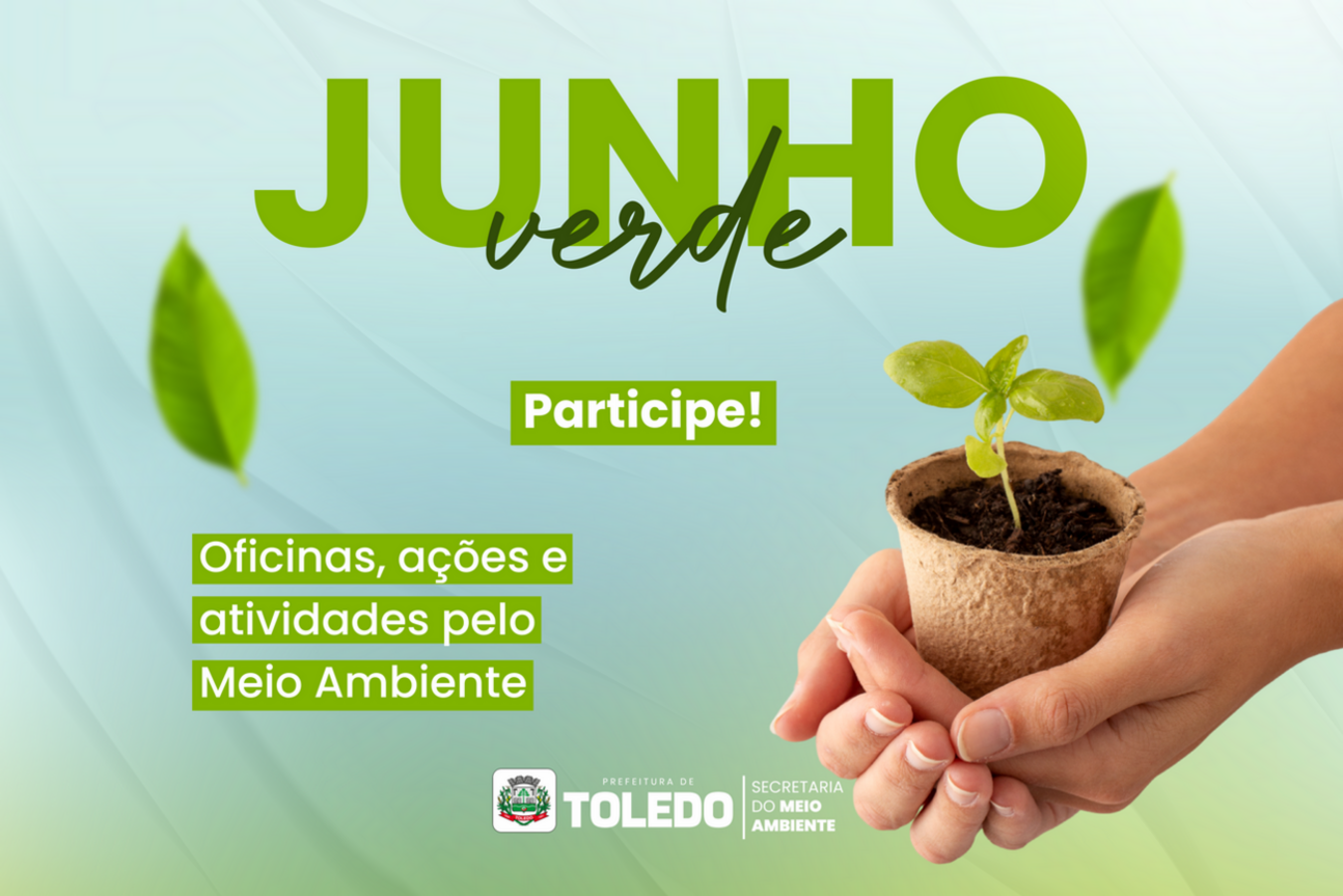 Junho Verde promove, neste domingo (8), oficina de observação de pássaros