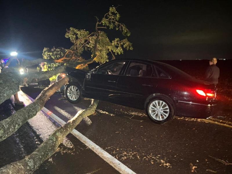Azera fica destruído ao colidir em árvore caída na PR-591 em Toledo