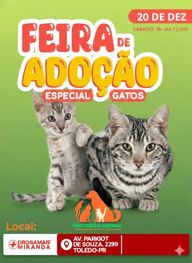 Está chegando a Feira de Adoção especial para gatos