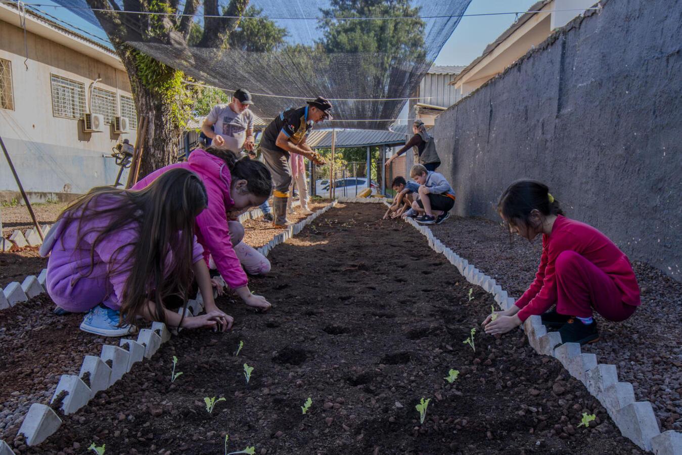 Alunos da escola municipal Reinaldo Arrosi recebem projeto de horta comunitária