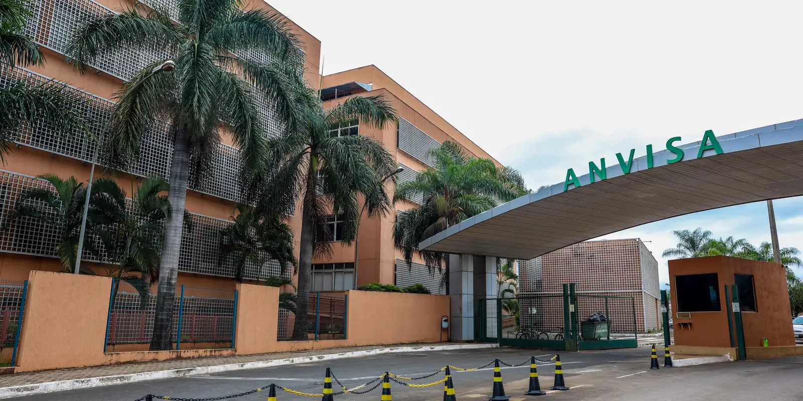 Anvisa aprova medicamento para tratar esquistossomose em crianças