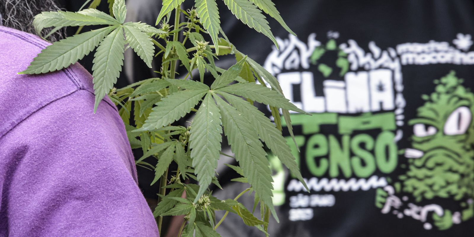 Flagrante por drogas gera mais prisão preventiva do que outros crimes