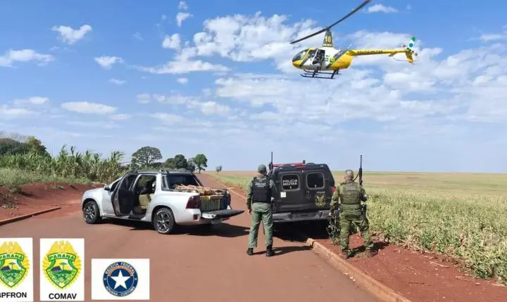 BPFRON apreende 680 kg de maconha durante ação integrada em Assis Chateaubriand
