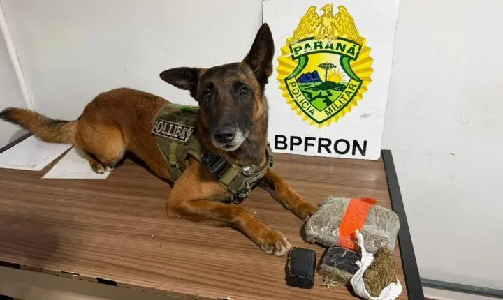 São Pedro do Iguaçu: BPFRON apreende mais de 1 kg de maconha e prende dois homens