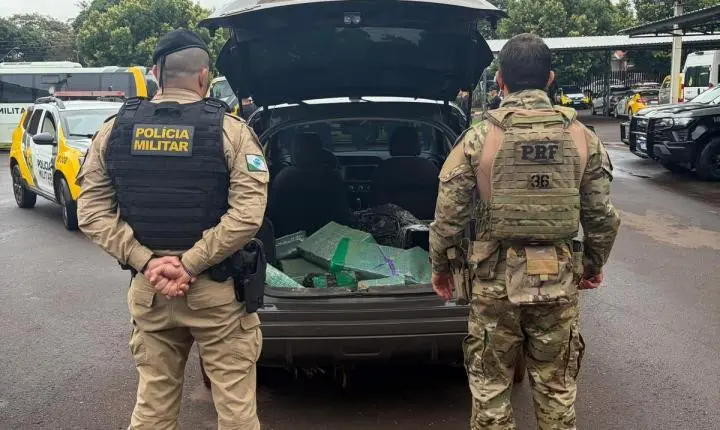  Toledo: PM e PRF apreendem 213,5 kg de maconha e recuperam veículo roubado na BR-163